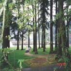 Lake Oswego Oregon Lake Grove Park for Swimming