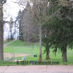 Pier Park