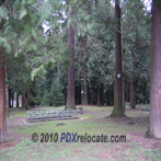 Pier Park