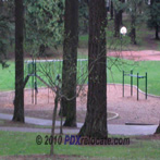 Pier Park Playground