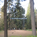 Laurelhurst Park