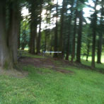 Cedar Mill Park