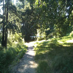 Commonwealth Lake