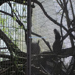 Oregon Zoo Animal Exhibit