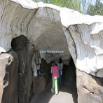 Oregon Zoo Great Northwest