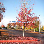 Portland Community College Rock Creek