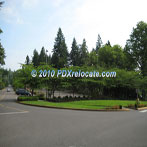 Washington Park 