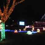 Zoo Lights