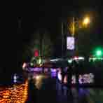 Zoo Lights