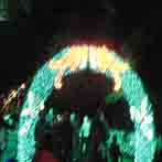 Zoo Lights