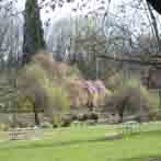 Westmoreland Park 